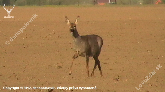 prieskumníčka :)