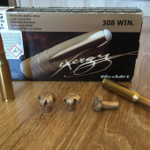 308 win Exergy 11,7 g