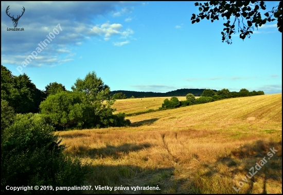 letná idylka ...