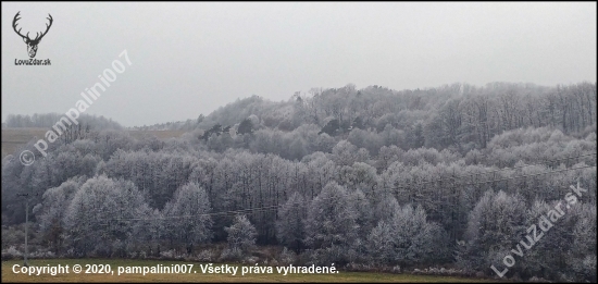 pohľad z posedu ...