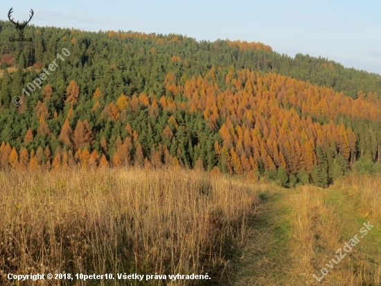 novembrový podvečer...