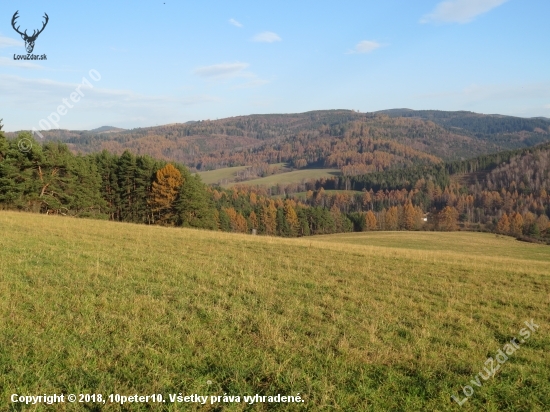 Levočské...