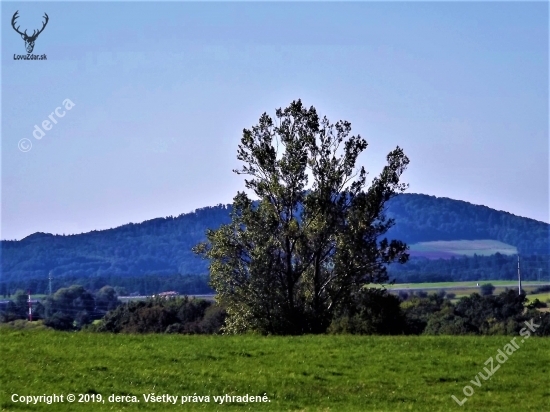 Strážce krajiny