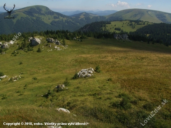 Borišov a Ploská