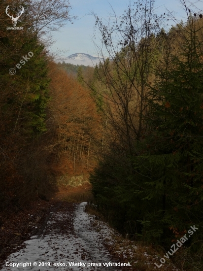 Horná dolina a Prašivá