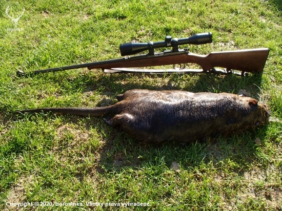 NUTRIA - sezóna 2020/2021 zahájená