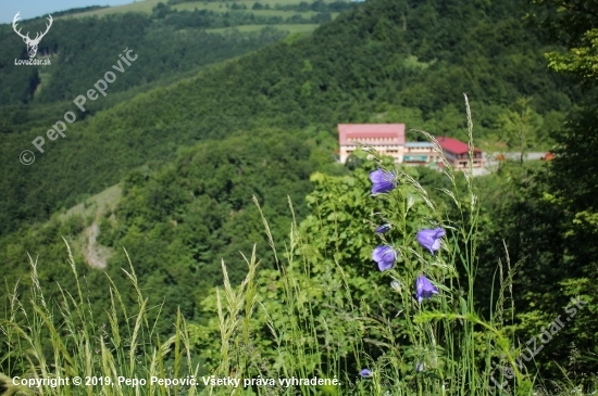 Biele karpaty