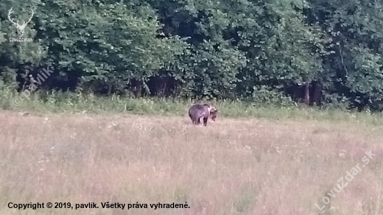 Nesklamal, prišiel sa ukázať