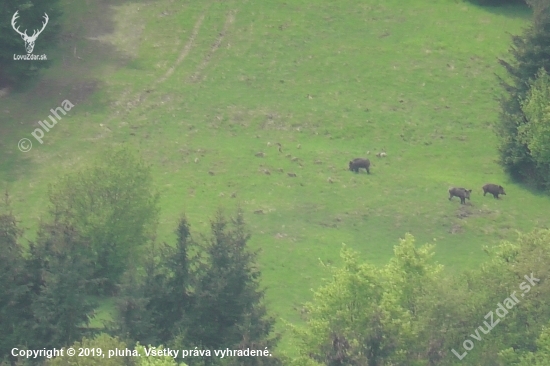 Pohľad z okna