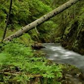 Kaňon Veľkej Bielej vody