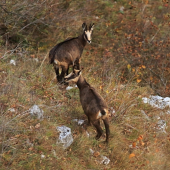 Pomaly to začne/1