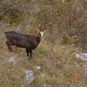 Pomaly to začne/2