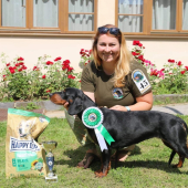 Najkrajšia sučka Špeciálnej výstavy slovenských kopovov, Herľany 2019