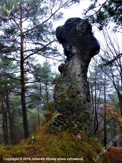 Lednický budzogáň