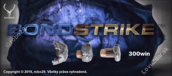 300WM- Norma BondStrike