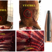 Prebijaný-Interlock Hornady 338WM -