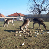 Dobre nam je....