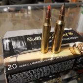 Hornady Vmax 223rem vs S&B SP 22-250rem