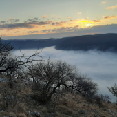 Plešivecká planina