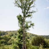 15 meterový posed na dubu