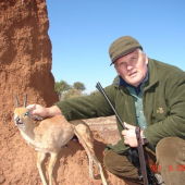 Antilopka trávna / steenbok