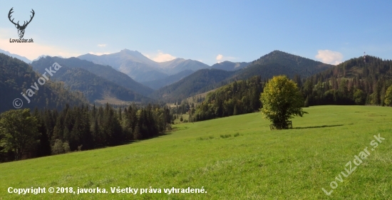 príroda je jediná kniha, ktorá na všetkých stránkach ponúka zaujímavý obsah