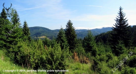 pri každej prechádzke v prírode človek dostane oveľa viac ako hľadá (John Muir)