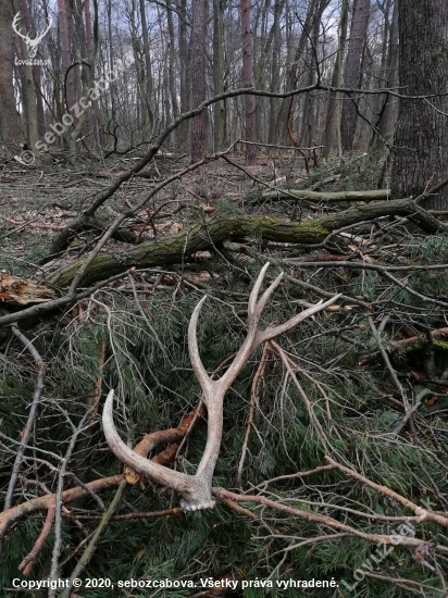 Sezóna rozbehnuta