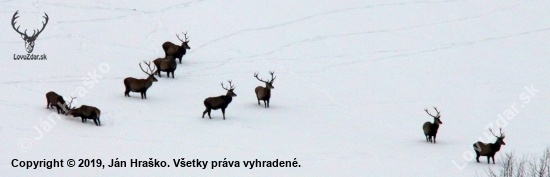 spomienka na zimu..