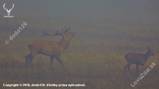 Skryté čaro jesene