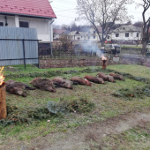 Dalsi uspesny vydareny den na Spolocnej-vyrad