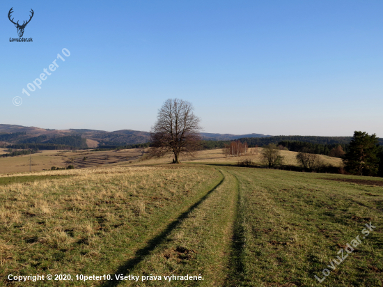 Levočské pohorie