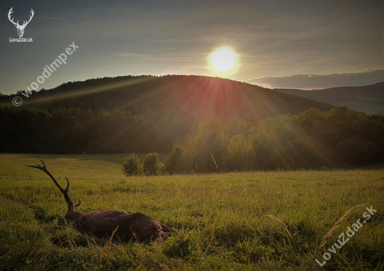 Rozlúčka s králom