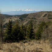 Levočské vrchy