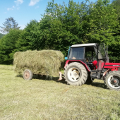 Príprava objemového krmiva v plnom prúde