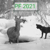 PF 2021