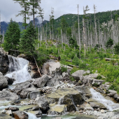 Vysoké Tatry