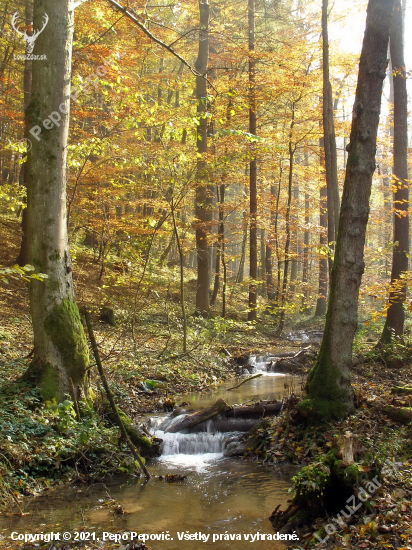 jeseň a horské bystriny