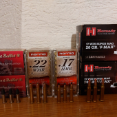 22lr,22wmr,17hmr,17wsm