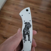 Scrimshaw Jagteriera na mojom noži