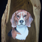 Beagle