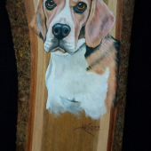 Beagle