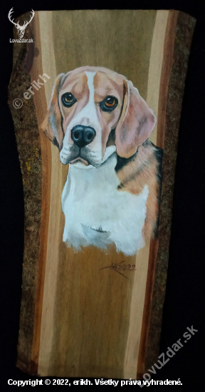 Beagle