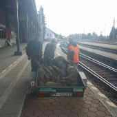 Pendolino Košičan vs diviaky