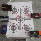 22lr test