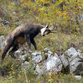 Označovanie rajónu