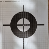 17Hmr CCI VNT