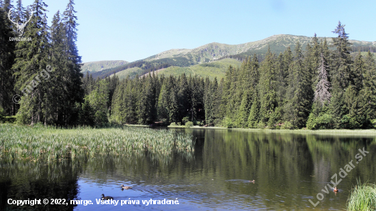 Vrbické pleso