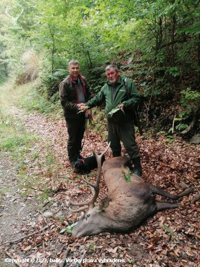 Dohľadávka otcovi