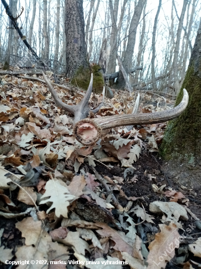 Februárové pohľady